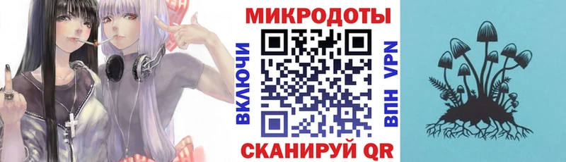 Псилоцибиновые грибы GOLDEN TEACHER  купить закладку  Советский 